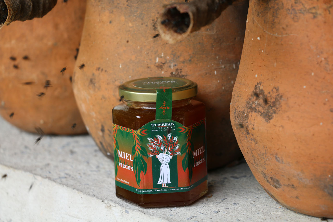 miel-tosepan-medicinal-artesanal
