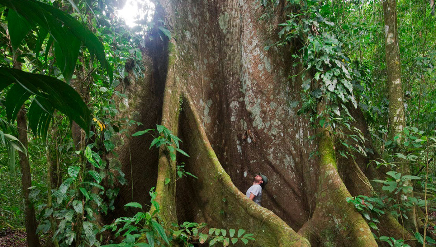 Experimenta la naturaleza profunda en este destino de la Selva Lacandona - Suum